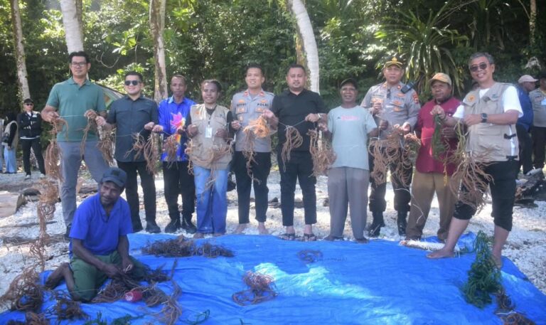Ketua DPR Papua Denny Henrry Bonai bersama masyarakat melakukan penanaman kembali rumput laut di Sarawandori, Kosiwo, Kabupaten Kepulauan Yapen.